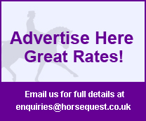 Advertise Here, Great Rates!