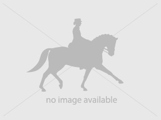 broodmare and yearling